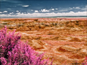 painted-desert-desert-5-arizona